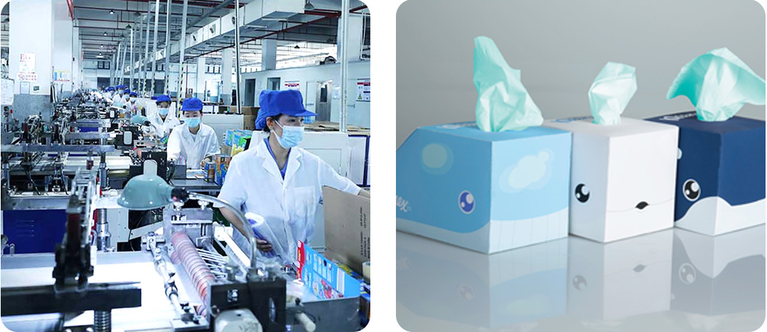 Revolutionary Centralized Feeding System: Transforming Plastic Packaging Production